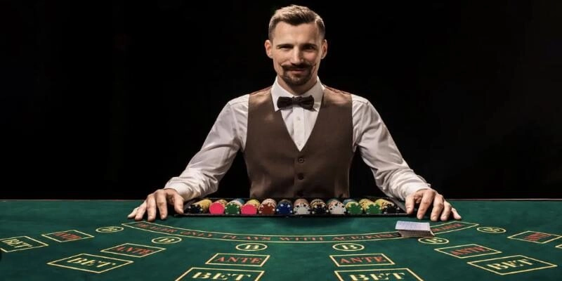 Các lời khuyên của bạn về letou